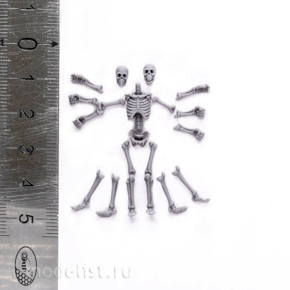 S-205 MiniWarPaint Скелеты, размер S, 2 шт.