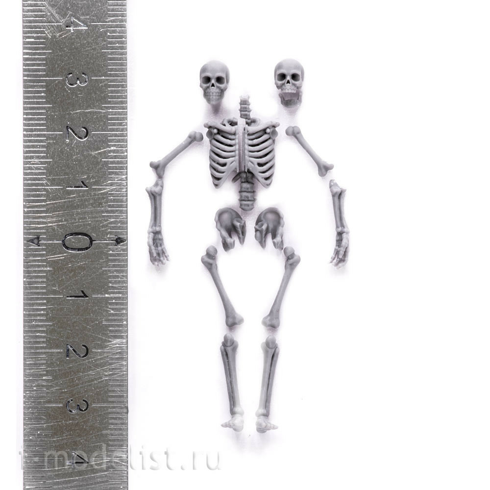 S-206 MiniWarPaint Скелет, размер M (1/32)