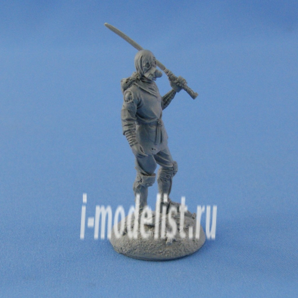 NS-F54/32015 North Star Cyber Ninja with display base