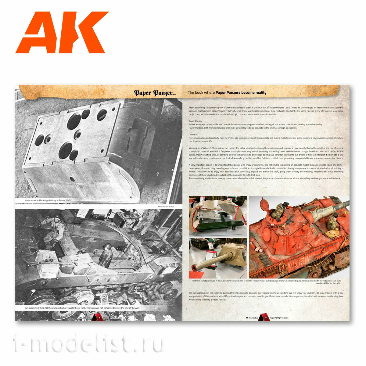 AK246 AK Interactive Книга на английском языке 