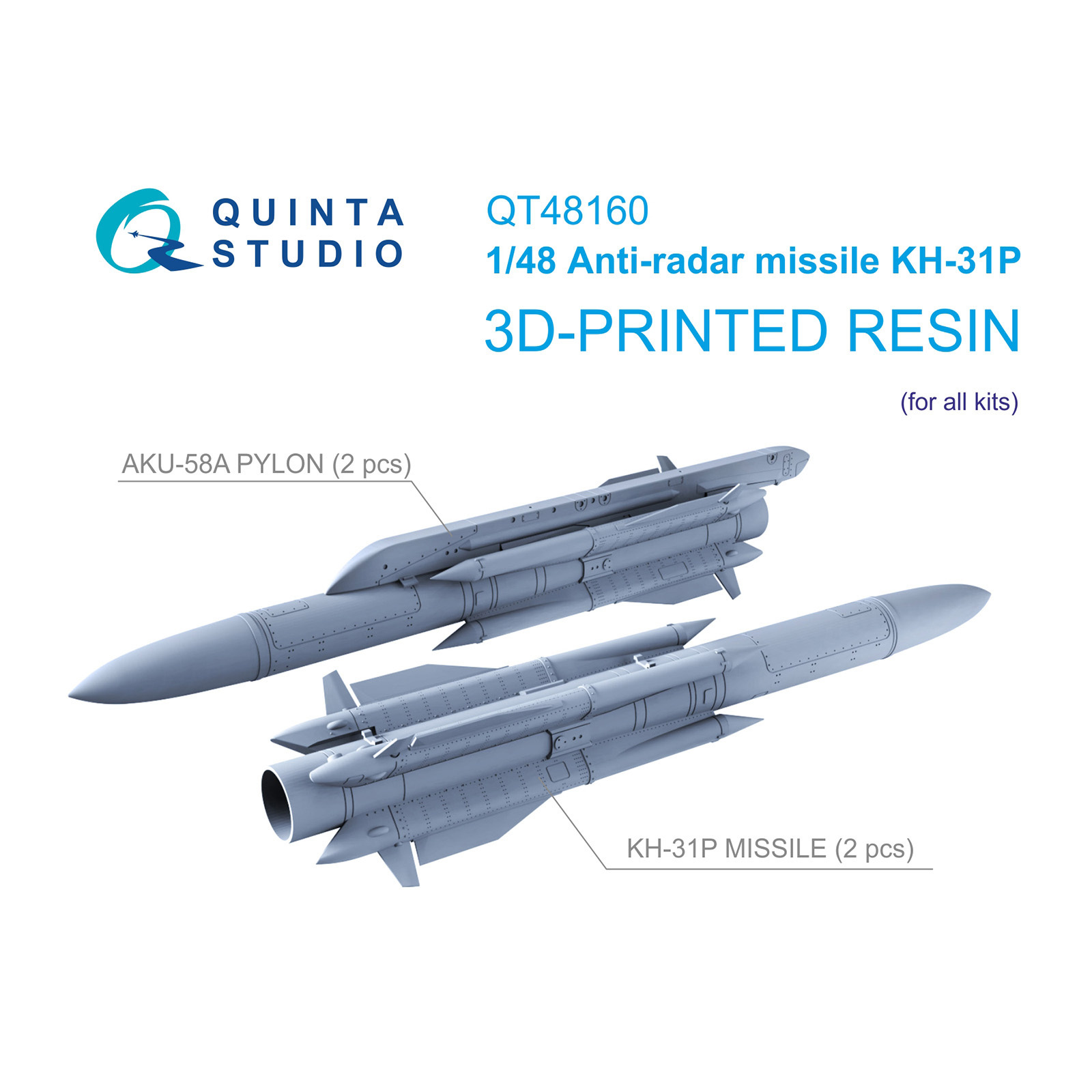 QT48160 Quinta Studio 1/48 Противорадиалокационные ракеты Х-31П