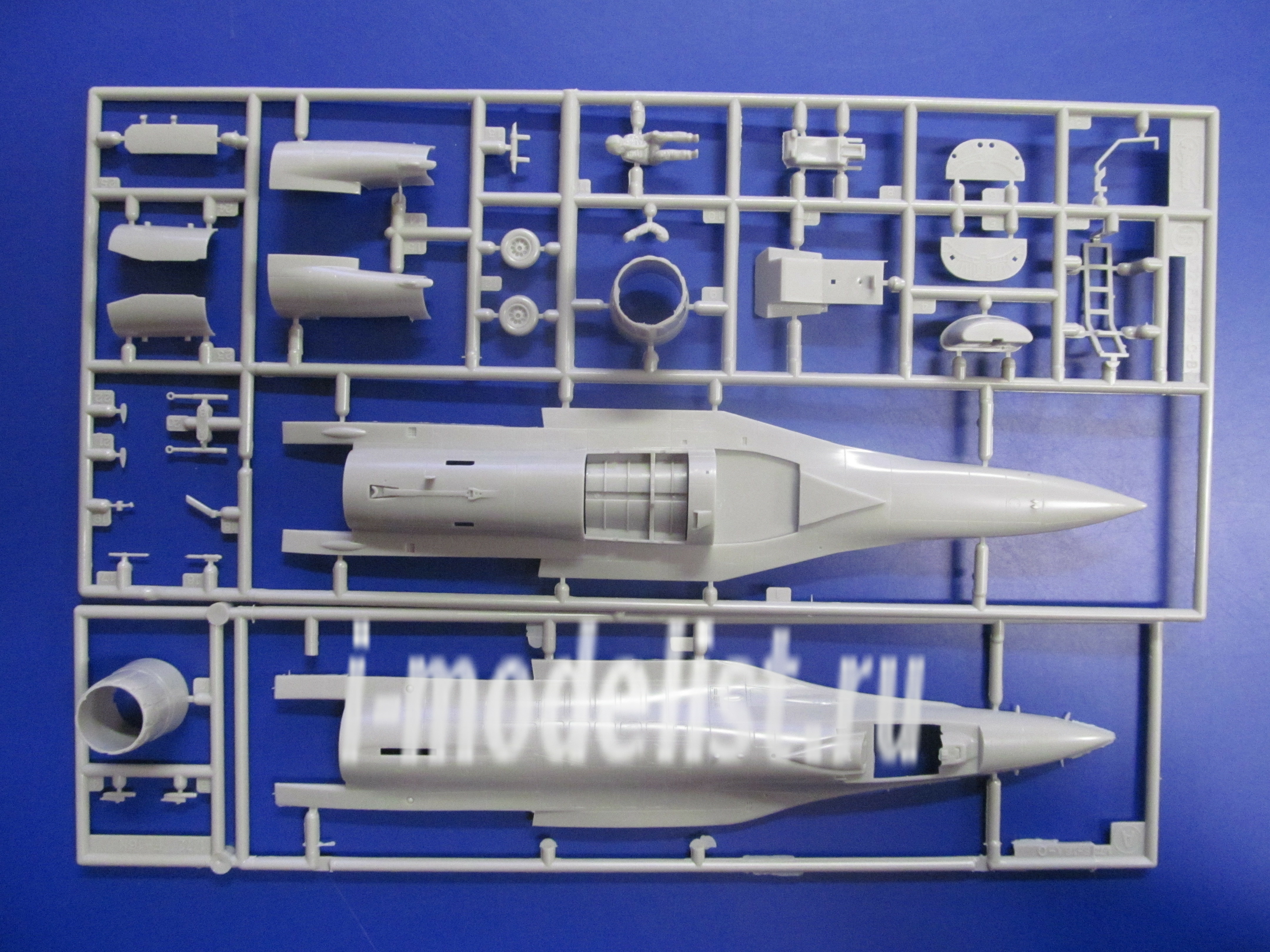 00342 Hasegawa 1/72 F-16N Top Gun