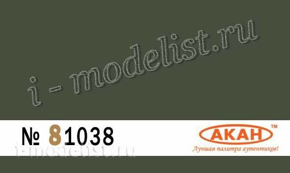 81038 Акан RAL: 6031 Бронзово-зелёный (выцветший вариант) (Bronzegrün)