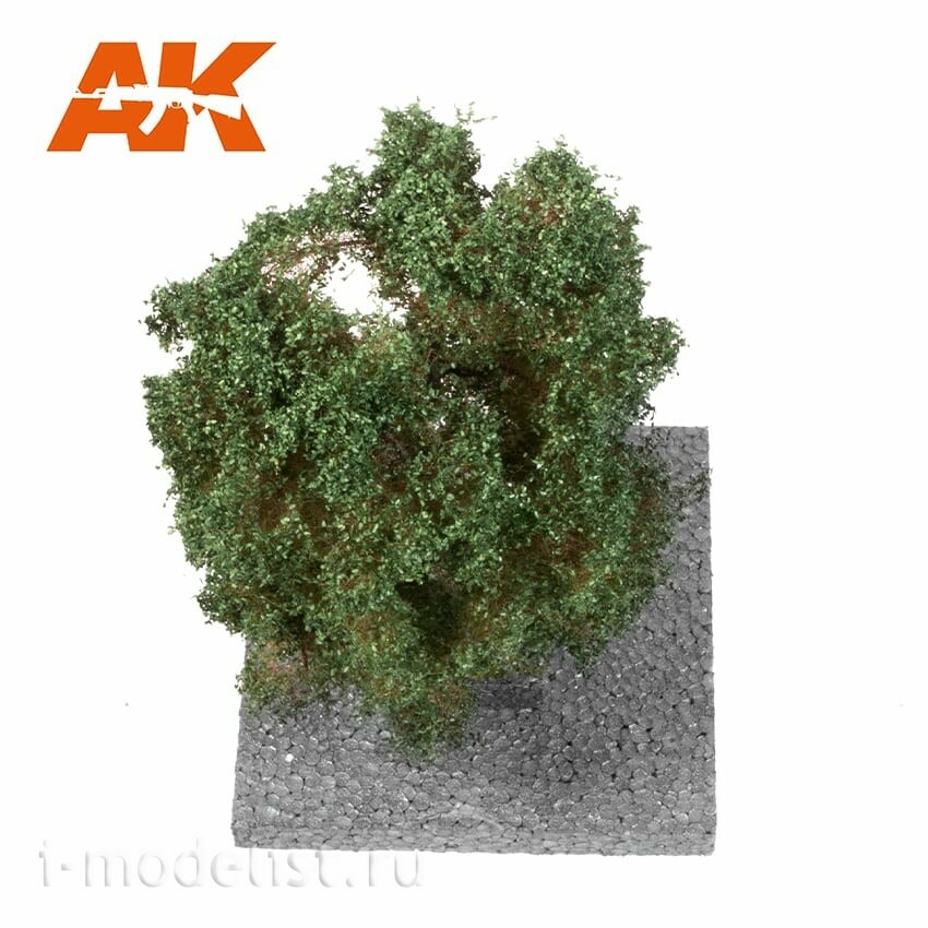AK8181 AK Interactive Дуб летом 1:72