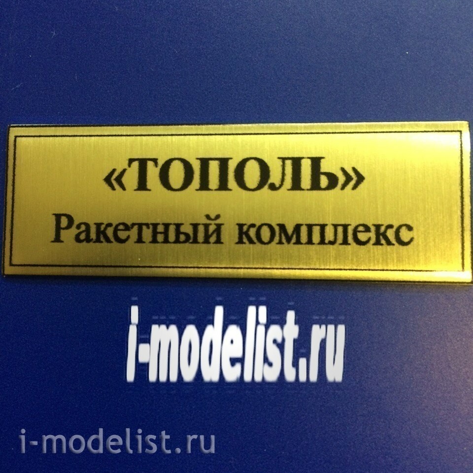 Т04 Plate Табличка для ТОПОЛЬ (Ракетный комплекс) 60х20 мм, цвет золото