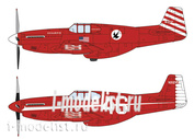 02215 Hasegawa 1/72 P-51C Mustang 