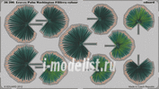 36206 Eduard 1/35 Фототравление для Leaves Palm Washington Filifera colour