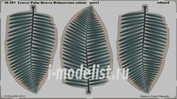 36207 Eduard 1/35 Фототравление для Leaves Palm Howea Belmoreana colour