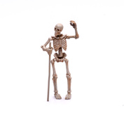 S-205 MiniWarPaint Skeletons, size S, 2 pcs.