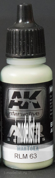 AK2034 AK Interactive RLM 63