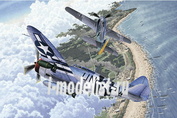 12513 Academy 1/72 P-47D & FW190A-8 (two models in one box)