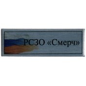 Т384 Plate Табличка для Российской реактивной системы залпового огня «Смерч», 60х20 мм, цвет серебро
