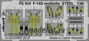 FE934 Tetralene Eduard 1/48 F-14D steel straps