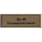 Т370 Plate Табличка для Пассажирского самолета Yakovlev-40, 60x20 мм, цвет золото