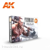 AK11603 AK Interactive Набор акриловых красок цвета человеческого тела (Human Flesh Tones)