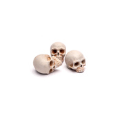 S-211 MiniWarPaint Human Skulls, size M (1/35), 10 pcs.