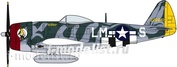 Hasegawa 1/48 09968 P47D Thunderbolt American Aces