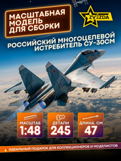 4808 Звезда 1/48 Российский многоцелевой истребитель завоевания превосходства в воздухе Су-30СМ