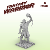 fw72003 Fantasy Warrior 1/72 НижеНуля