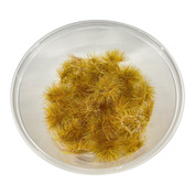 30138 DasModel 1/35 Кочки травы золотая осень, 50 шт. / 5 мм