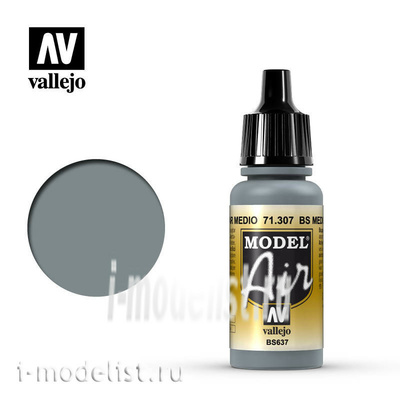 71307 Vallejo acrylic Paint 