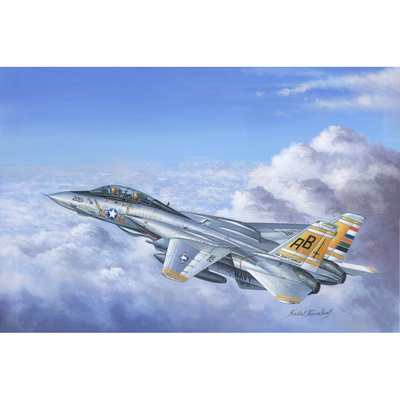 80366 HobbyBoss 1/48 Deck Fighter F-14A Tomcat
