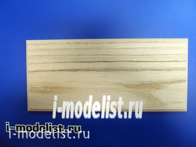 PL05 Plate Stand for model (not covered) 350x150 mm