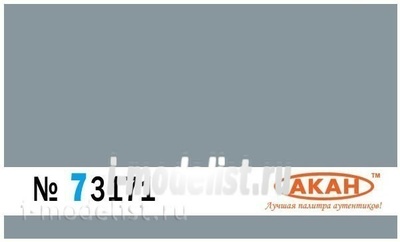 73171 Акан Серый (заводской образец цвета)  нижние поверхности самолётов Я-130