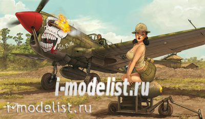 11104 Edward 1/32 Warhawk