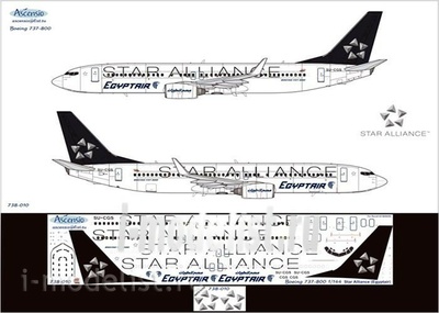 738-010 Ascensio 1/144 Декаль на самолет боенг 737-800 (star alance)