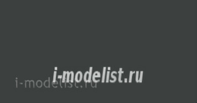 63029 Акан Тёмно-серый (выцветший) камуфляжные пятна - 1 на верхних и боковых поверхностях самолёта Т-10К1