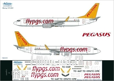 738-013 Ascensio 1/144 Декаль на авиалайнер 737-800 (Пегасус аrlines)