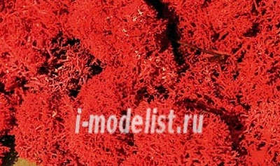 3213 Heki Материалы для диорам Исландский мох, красный 30 г