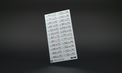 EM24002 Emboss 1/24 Регистрационные знаки транспортных средств в России ГОСТ 50577-2018 Тип 1 (