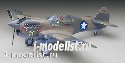 08879 Hasegawa 1/32 P-40E Warhawk