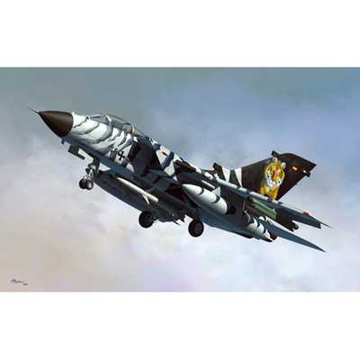 80354 HobbyBoss 1/48 Реактивный самолёт Tornado ECR