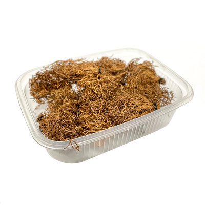 35021/2 DasModel 1/35 bare Bushes, 10 PCs. (medium and small)