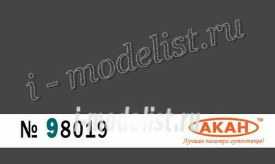 98019 Акан Серый, тонировочный пигмент 