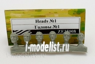ZF35008 Zebrano 1/35 Head №1