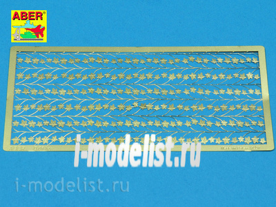 35 D-01 Aber 1/35 Ivy