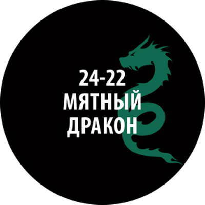 24-22 Zvezda Проливка Мятный дракон (30 мл)
