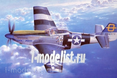 09130 Hasegawa 1/48 P-51D Mustang