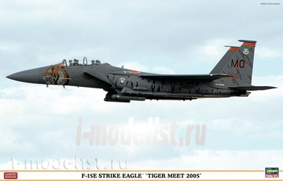 07318 Hasegawa 1/48 McDonell Douglas F-15E Strike Eagle 