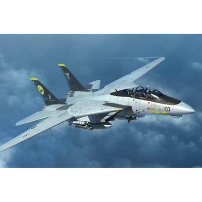 03919 Трубач 1/144 F-14D