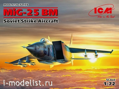 72175 ICM 1/72 M-25 БМ, Советский ударный самолет