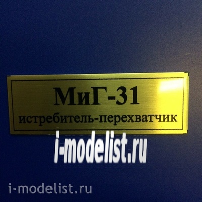 Т65 Plate Табличка для MiGG-31 60х20 мм, цвет золото