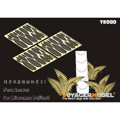 TE080 Voyager Model Листья папоротника #1