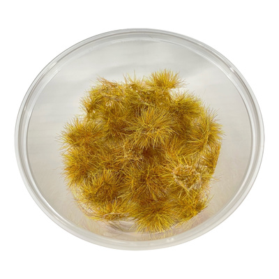 30138 DasModel 1/35 Кочки травы золотая осень, 50 шт. / 5 мм
