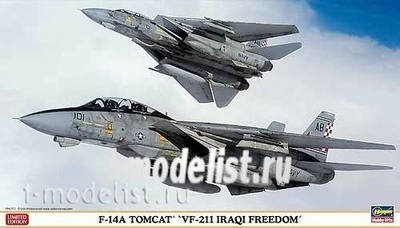 02040 Hasegawa 1/72 Grumman F-14A Tomcat 