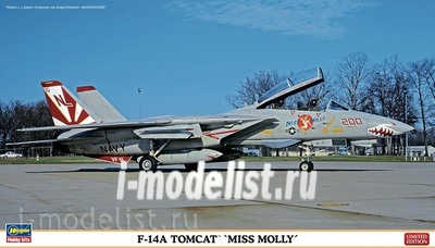 02123 Hasegawa 1/72 F14A Tomcat Miss Molly Limited Edition